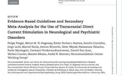 Estimulação transcraniana por corrente contínua (tDCS)